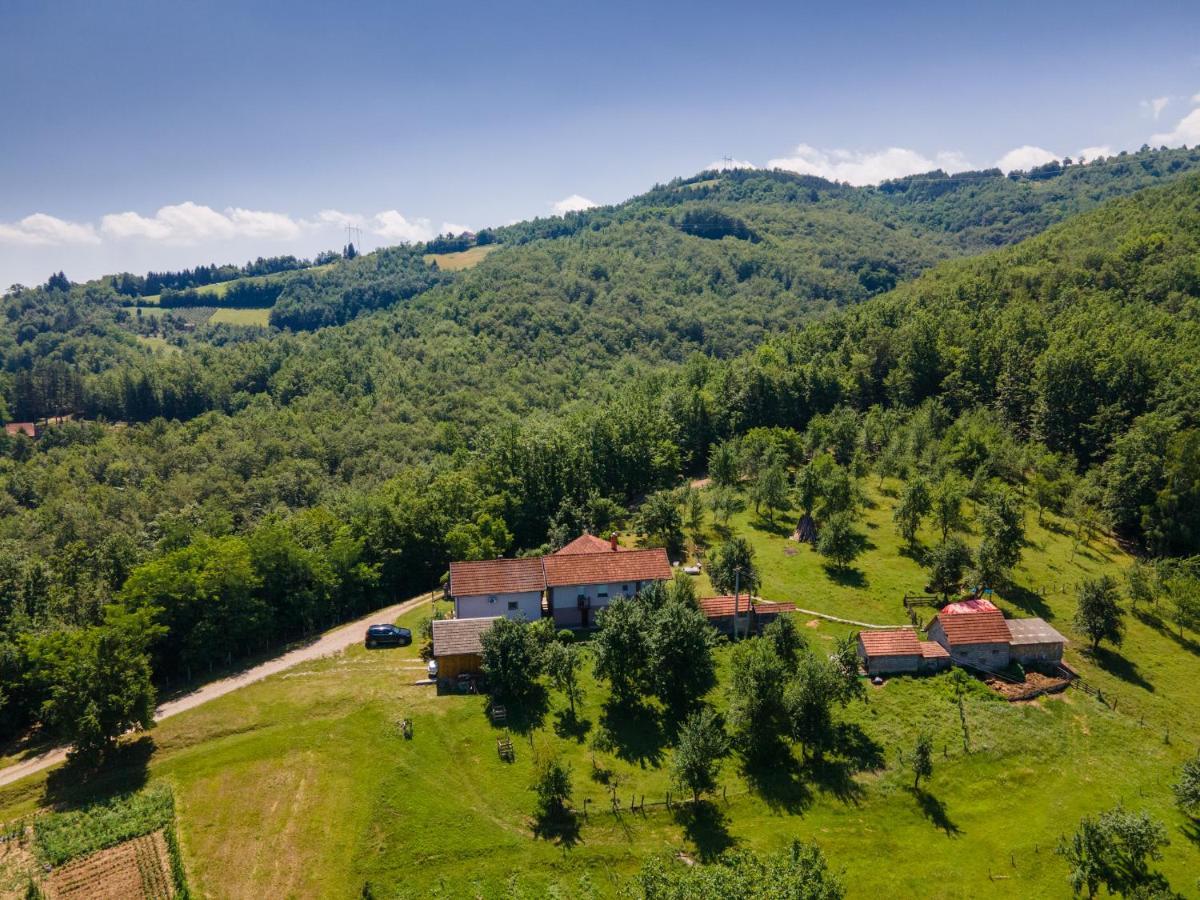 Villa Kuca Za Odmor Dm Bajina Basta Exterior foto