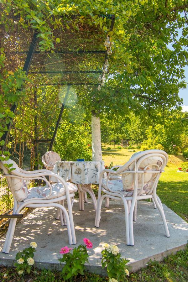 Villa Kuca Za Odmor Dm Bajina Basta Exterior foto