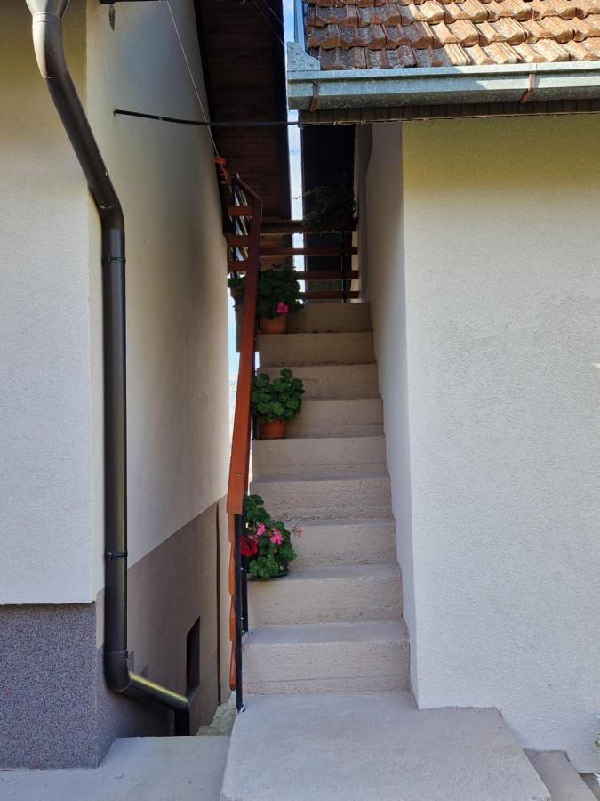Villa Kuca Za Odmor Dm Bajina Basta Exterior foto